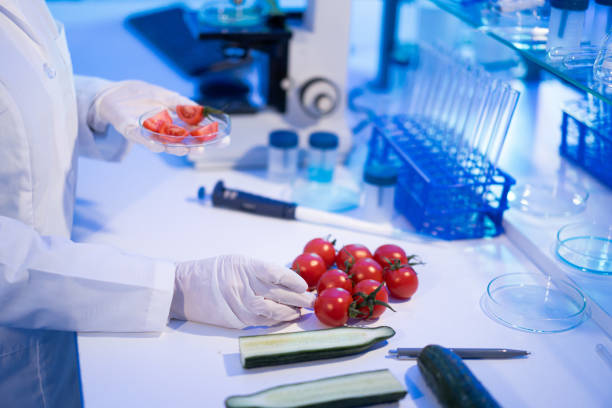 istock Female laboratory technician verify the quality of vegetables 1472478432