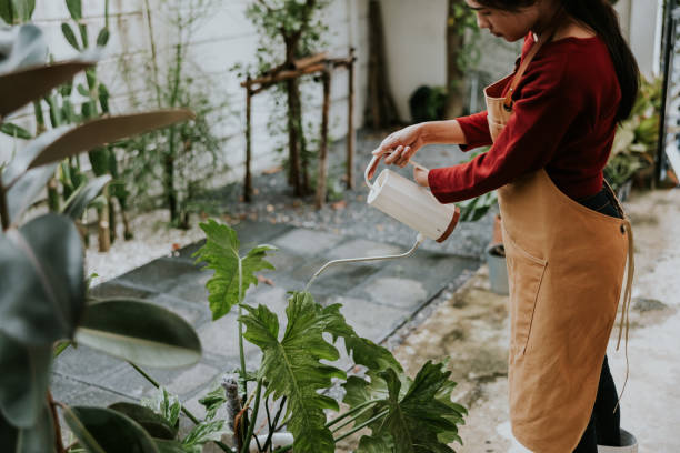istock Enjoy and relax with mini home garden. 1472482395