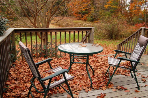 The leaves have fallen off the tree and covered the table, chairs and deck. Someone needs to rake!