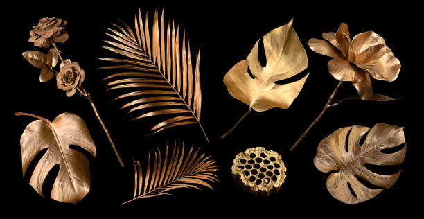 istock Tropical leaves gold and black, can be used as background(Monstera,palm,coconut)fern 1472483235