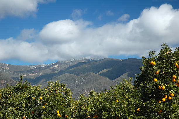 istock Southern California Landscape 147248787