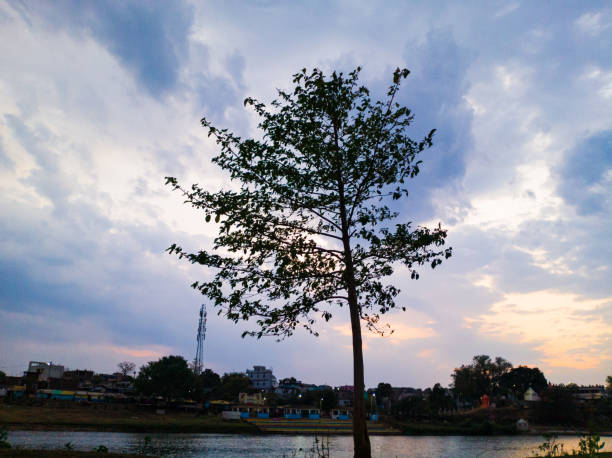 Tree Nature View Sky Landscape Nature Narmada River Background