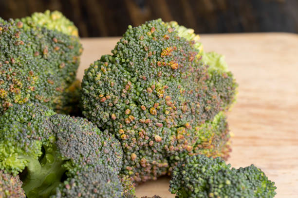 istock Green ripe broccoli in raw form 1472496266