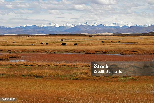 Foto de Meadows Em Cores De Outono e mais fotos de stock de Abundância - Abundância, Alimentar, Amarelo