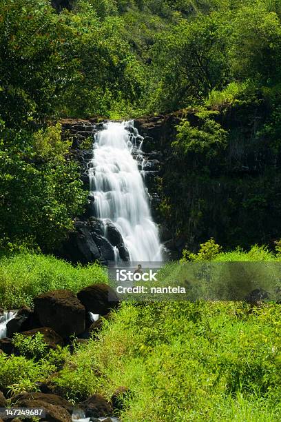 Waimea Waterfall Stock Photo - Download Image Now - Waimea Falls, Hawaii Islands, Waimea - Oahu