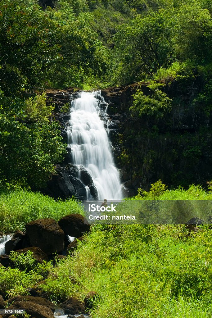 Wodospad Waimea - Zbiór zdjęć royalty-free (Wodospad Waimea)