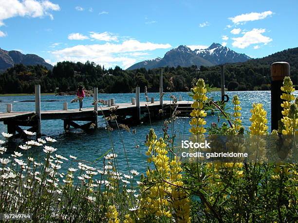 Photo libre de droit de Paysages De Bariloche En Argentine banque d'images et plus d'images libres de droit de Bariloche - Bariloche, Argentine, Fleur - Flore