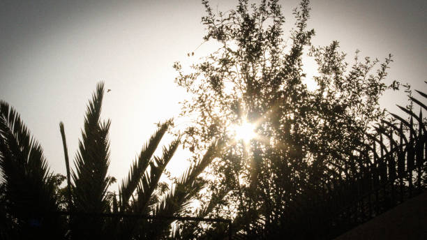 A picture displaying the beauty of sunsets
