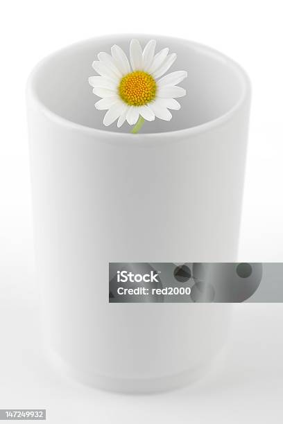 Camomile Na Caneca - Fotografias de stock e mais imagens de Alimentação Saudável - Alimentação Saudável, Alto - Descrição Física, Amimar