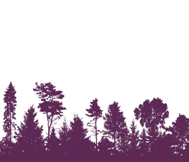 istock Beautiful forest, silhouette of firs, pines and different deciduous trees. Landscape. Vector illustration. 1472500919