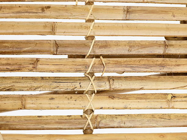 Bamboo bound together stock photo