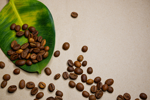 Large green-yellow leaf and coffee grains.