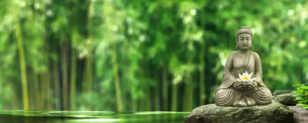 buddha statue on a rock in a blurred green bamboo jungle with a pond in sunlight, fresh nature spa wallpaper concept with zen spirit and copy space