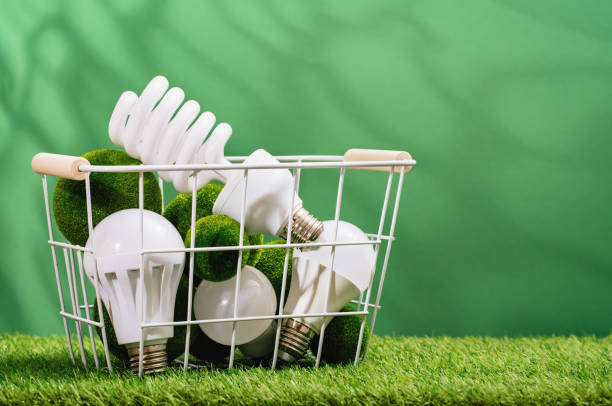 istock Earth Day. Home. Green planet concept. LED bulbs 1472502790
