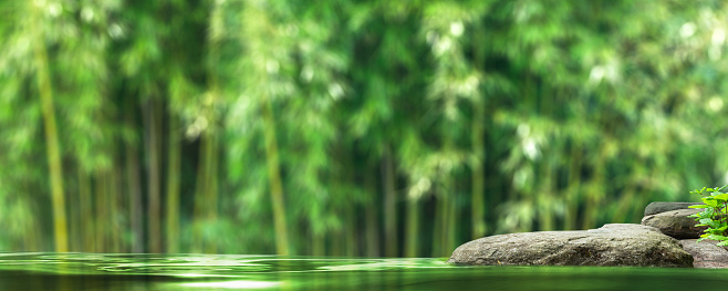 idyllic bamboo garden with a pond with water in sunshine and an empty rock for product display, natural scene background for spa, wellness, relaxation and zen spirit