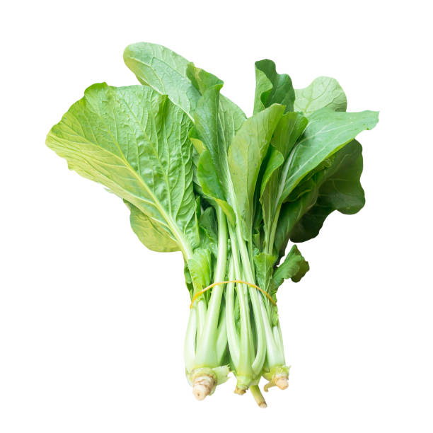 istock Fresh Cantonese green lettuce in bundle isolated on white background with clipping path 1472503923
