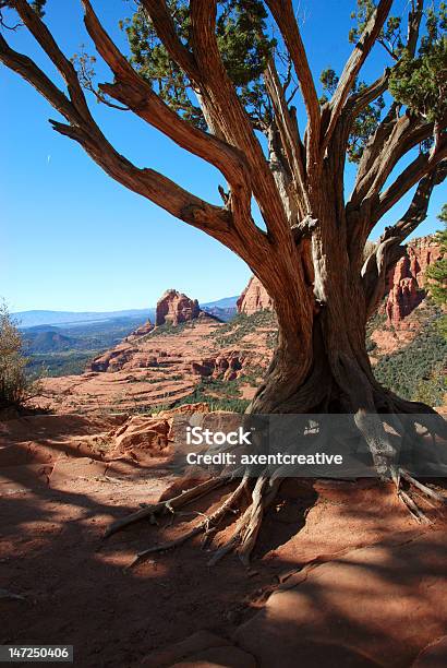 Vista De Shnebly Hill Vista De Sedona Arizona - Fotografias de stock e mais imagens de Ao Ar Livre - Ao Ar Livre, Arenito, Arizona