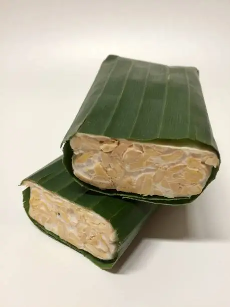 tempe is fermented soybean food