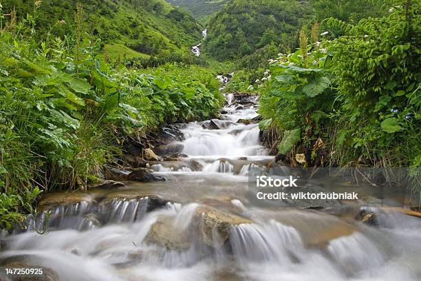 Río De Montaña Foto de stock y más banco de imágenes de Agua - Agua, Aire libre, Belleza de la naturaleza