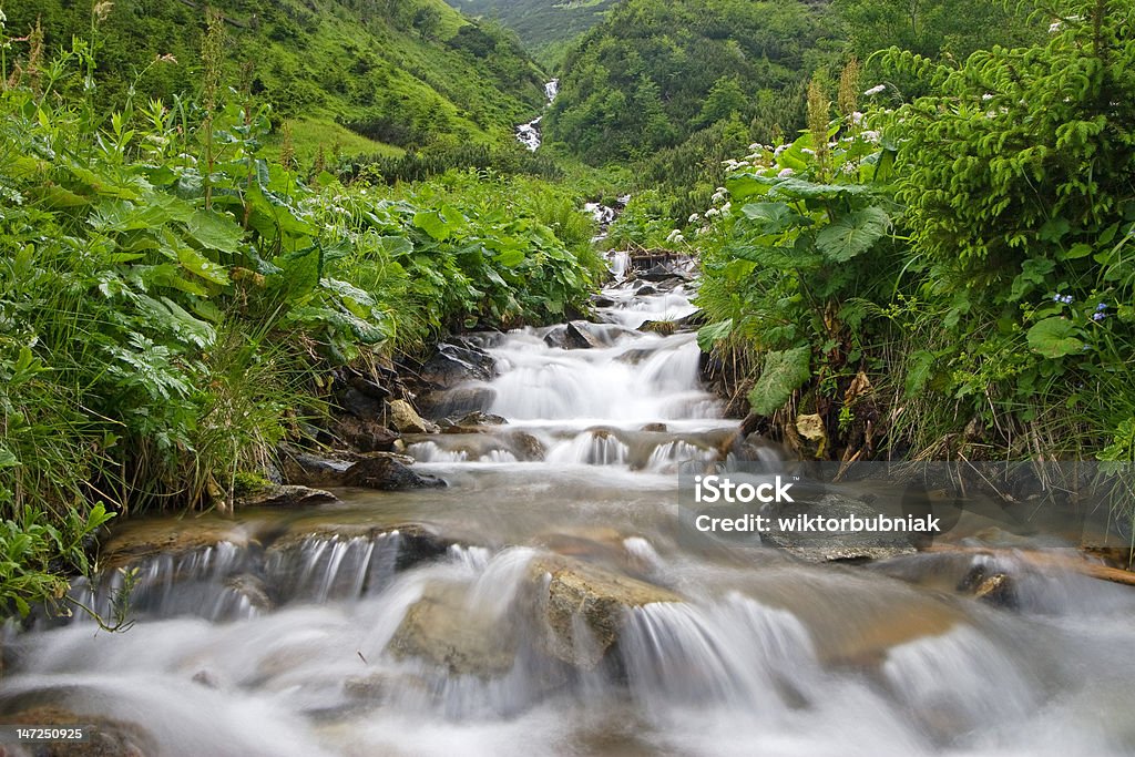 Montanha Stream - Foto de stock de Beleza natural - Natureza royalty-free