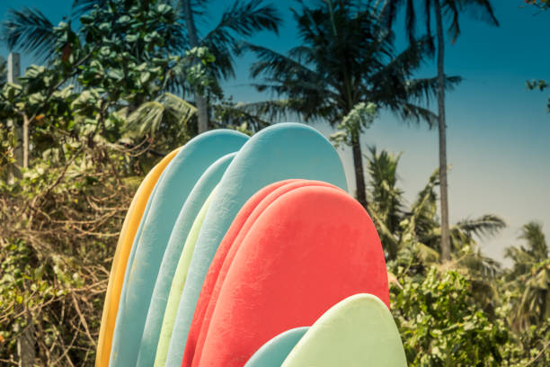 istock Set of different color surfboards on sandy beach seacoast. 1472511155