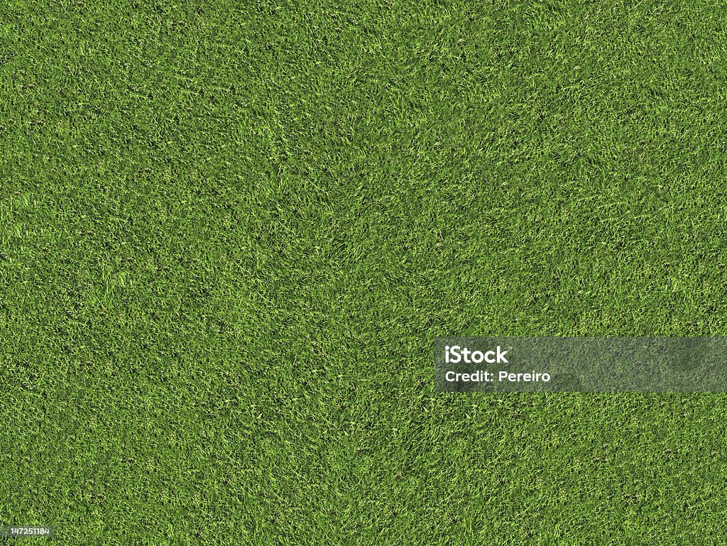 Natürliche green grass field - Lizenzfrei Ansicht aus erhöhter Perspektive Stock-Foto