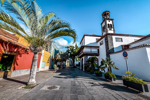 Walkway With Palms Near Iglesia de Nuestra Señora de la Concepción In Santa Cruz de Tenerife, Spain