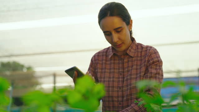 Female farmer with a tablet computer in a field.