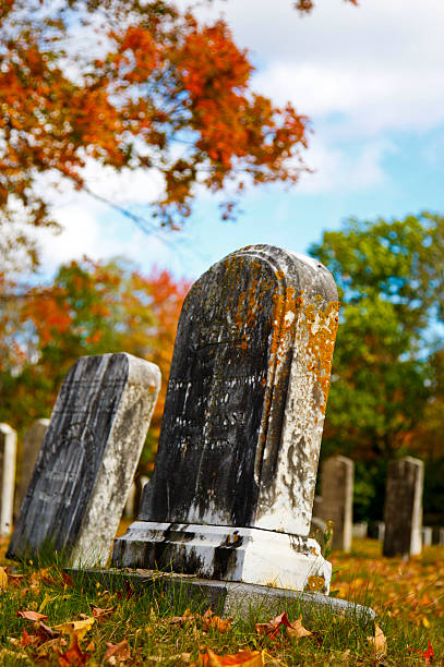 istock Tombstone in Cemetery 147251893