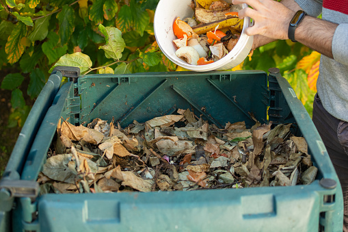 A young man is emptying a bucket with organic waste in a outdoor compost bin.The compost bin is placed in a home garden to recycle organic waste produced in home and garden and produce organic fertilizer. Concept of recycling and sustainability