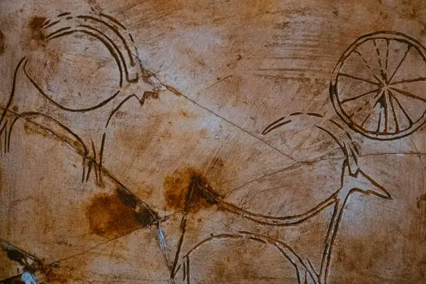 Paleolithic Cave Drawings