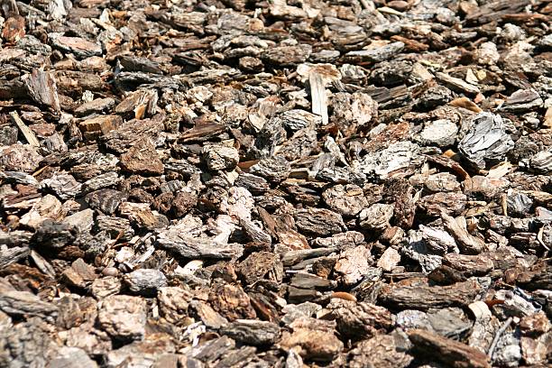 Wood Chips stock photo