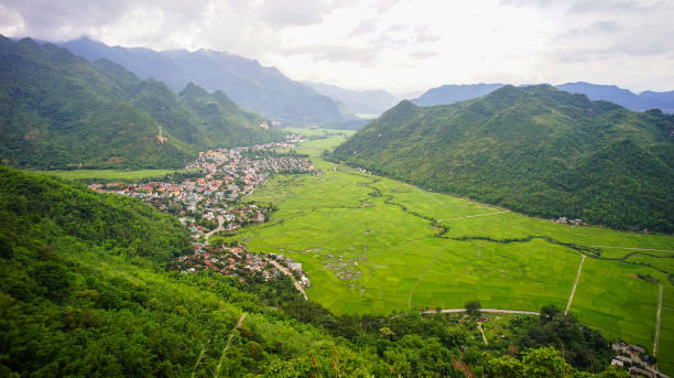 istock Rice field in Northern Vietnam 1472525097