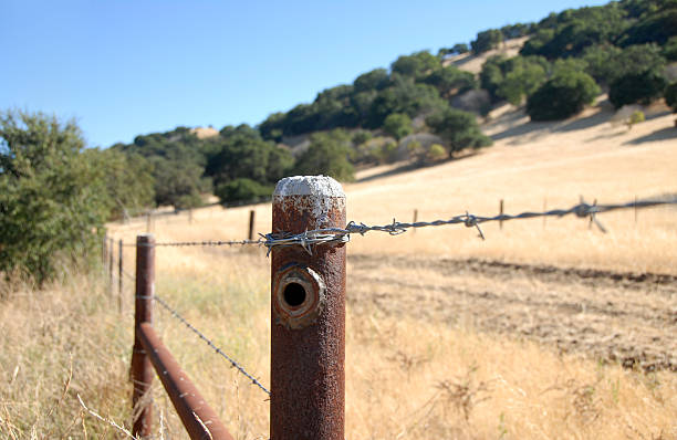 istock Metal barb wire fence 147252544