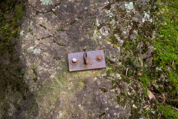 Anchor with double attachment for climbing harnesses in rock with moss