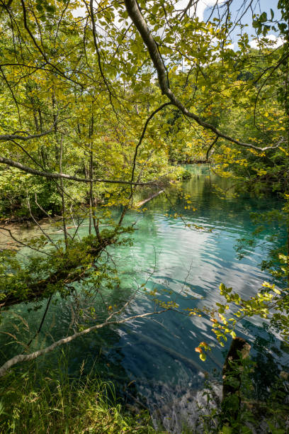 istock Lake in Plitvice national park, Croatia 1472526704