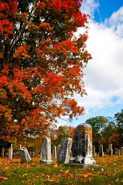 istock Cemetery in Autumn 147252831