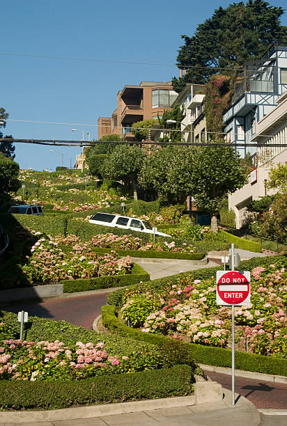 istock lombard street san francisco 147252900