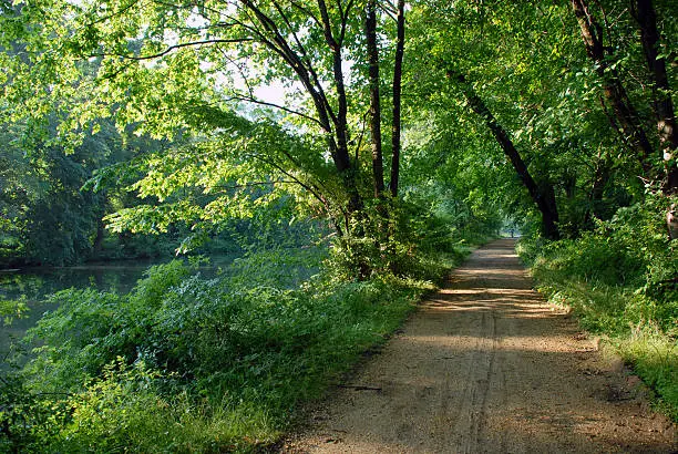 A scenic trail in the park by the canal or river