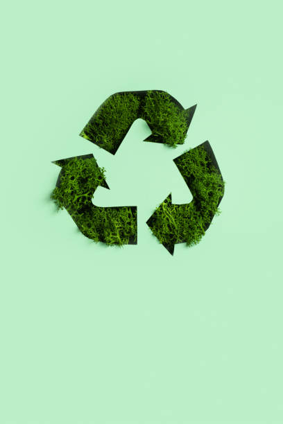 istock Green moss under paper cut recycling symbol. Save planet, eco, recycling concept 1472531969