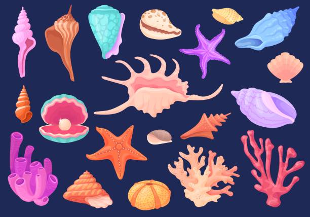 подводные раковины. мультяшные моллюски морские гребешки океанская раковина устричные моллюски, пляжный риф коралл морская звезда жемчуж� - pearl shell starfish beach stock illustrations