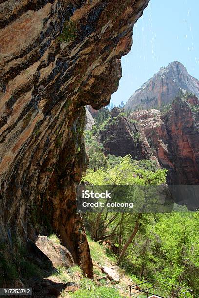 Photo libre de droit de Weeping Rock Du Parc National De Zion Étatsunis banque d'images et plus d'images libres de droit de Activité de loisirs - Activité de loisirs, Angle de prise de vue, Arbre