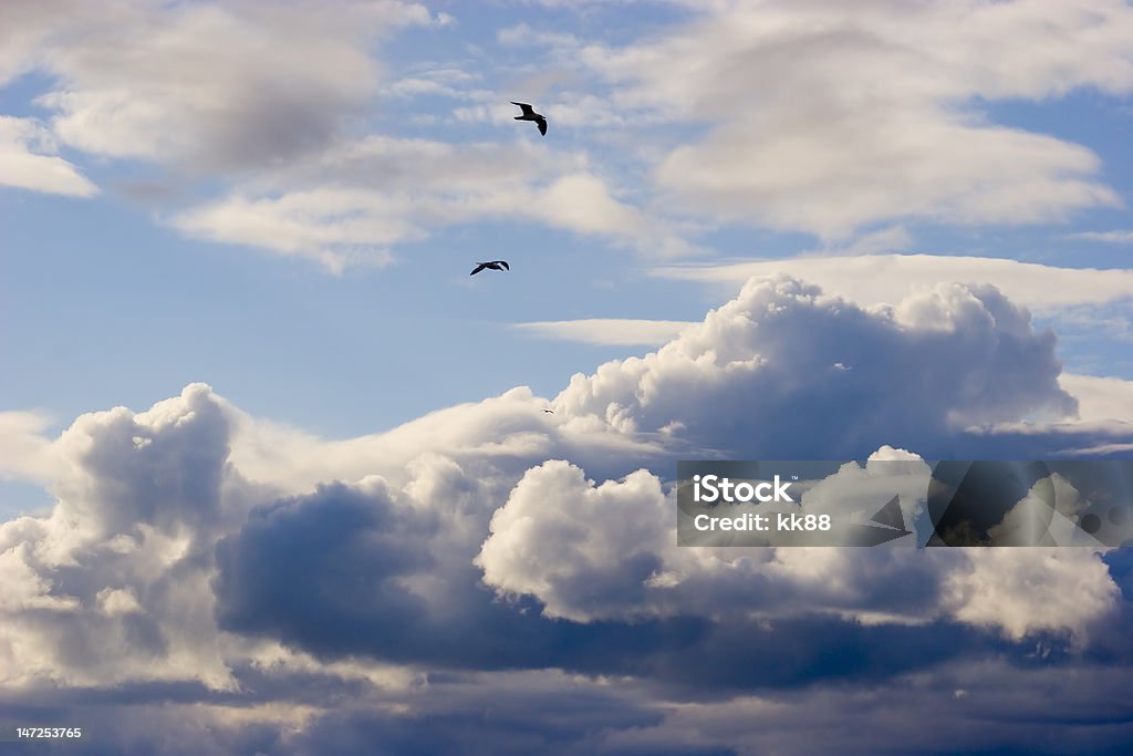 Nuvens e pássaros voam - Foto de stock de Aberto royalty-free