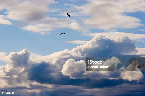 Foto de Nuvens E Pássaros Voam e mais fotos de stock de Aberto - Aberto, Azul, Beleza
