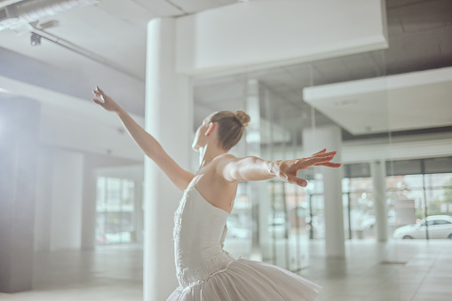 Dance academy, ballet and arms of ballerina for performance, dancing practice and training. Theatre dancer, creative studio and back of woman in elegant pose for stage routine, rehearsal and balance