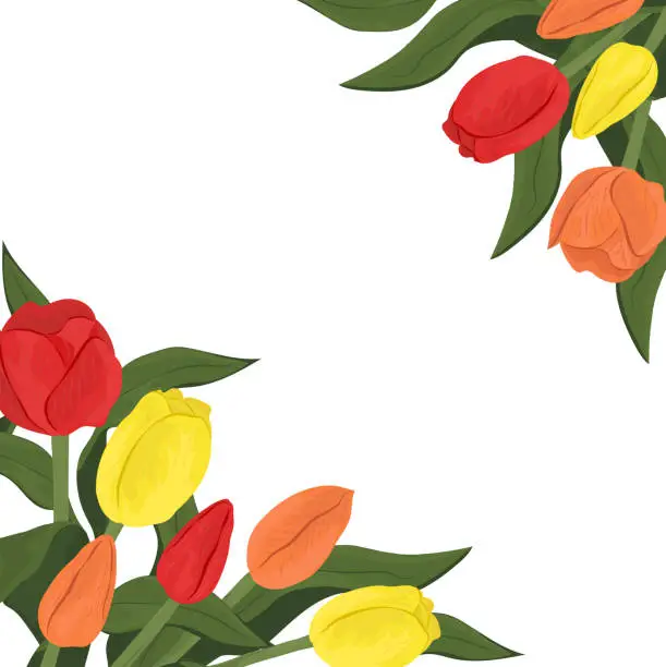 Vector illustration of Colorful tulips corner background. Spring flowers banner or card layout. Spring mood concept. Vector illustration.