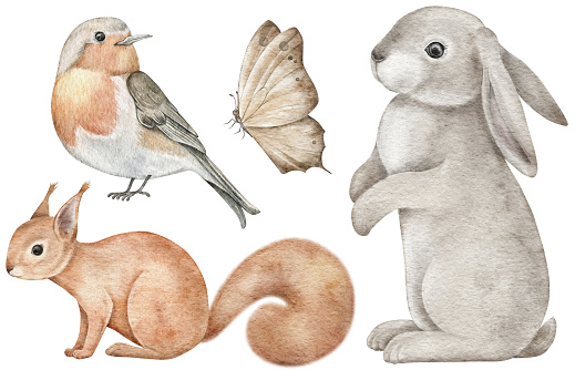 Watercolor woodland animals. Bird, rabbit, butterfly, squirrel for wall stickers, posters, invitation and greeting cards. Hand-drawing design element.