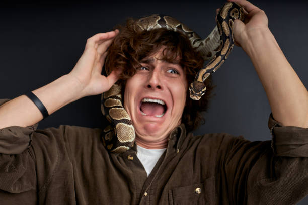 istock man emotionally screams, with snake on his head 1472539042