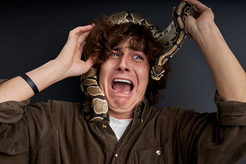 man emotionally screams, with snake on his head, he is afraid of exotic unusual animals from wild nature