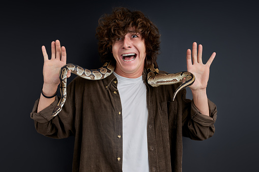 male stands terrified with a snake on his body, shouting, screaming by fear with spread arms isolated on black background